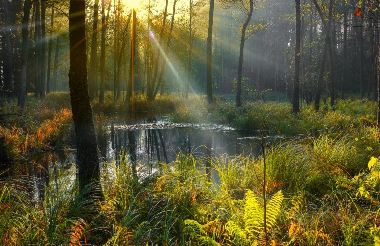 Ruciane-Nida – Perła Mazur: najlepsze atrakcje, przyroda i aktywności dla Turystów